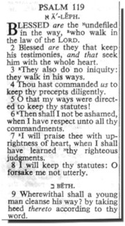 Digital Image of Psalm 119 (KJV)
