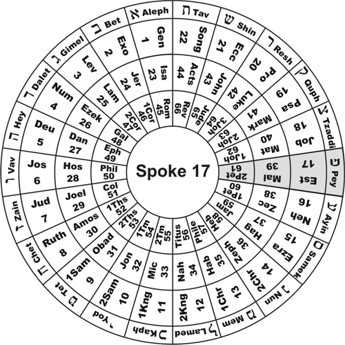 Spoke 17