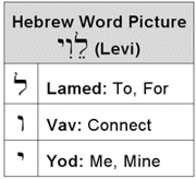 Hebrew Word Picture of Levi